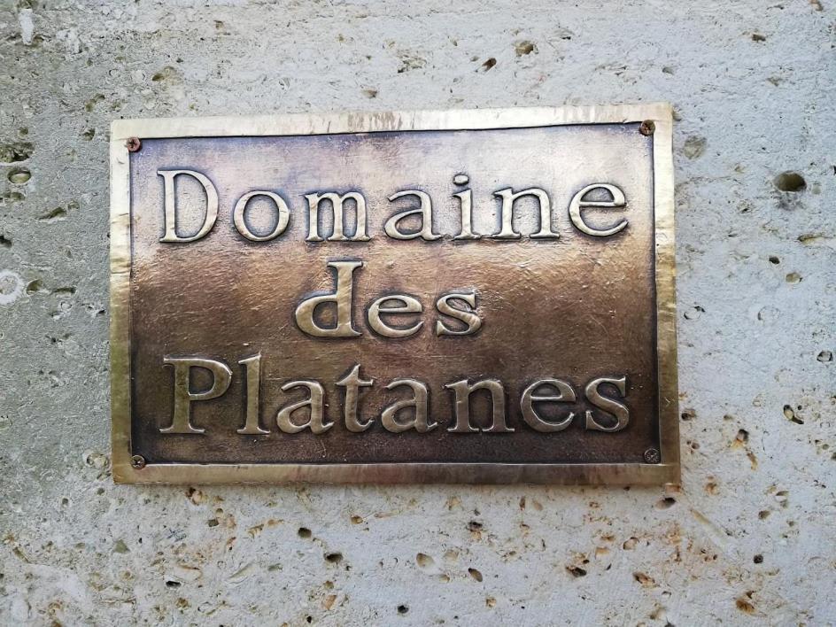 Le Domaine Des Platanes Panzió Bourg-Charente Kültér fotó