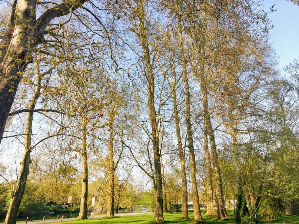 Le Domaine Des Platanes Panzió Bourg-Charente Kültér fotó