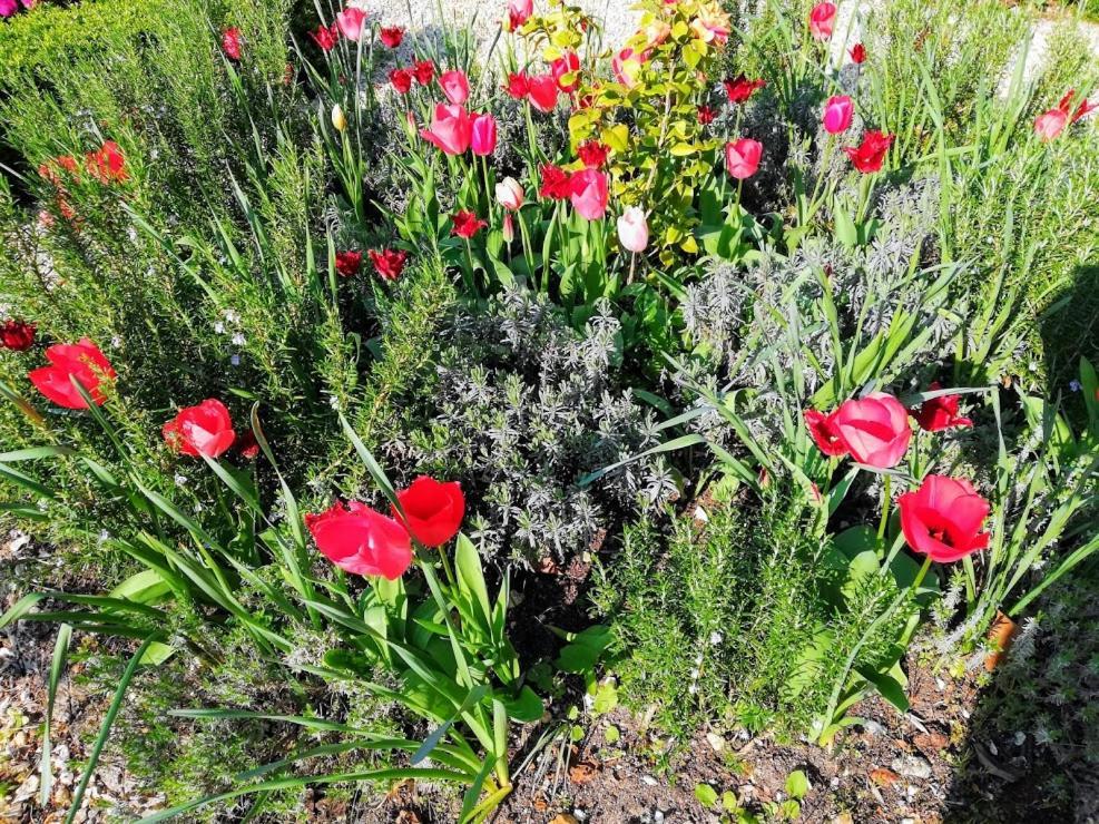 Le Domaine Des Platanes Panzió Bourg-Charente Kültér fotó