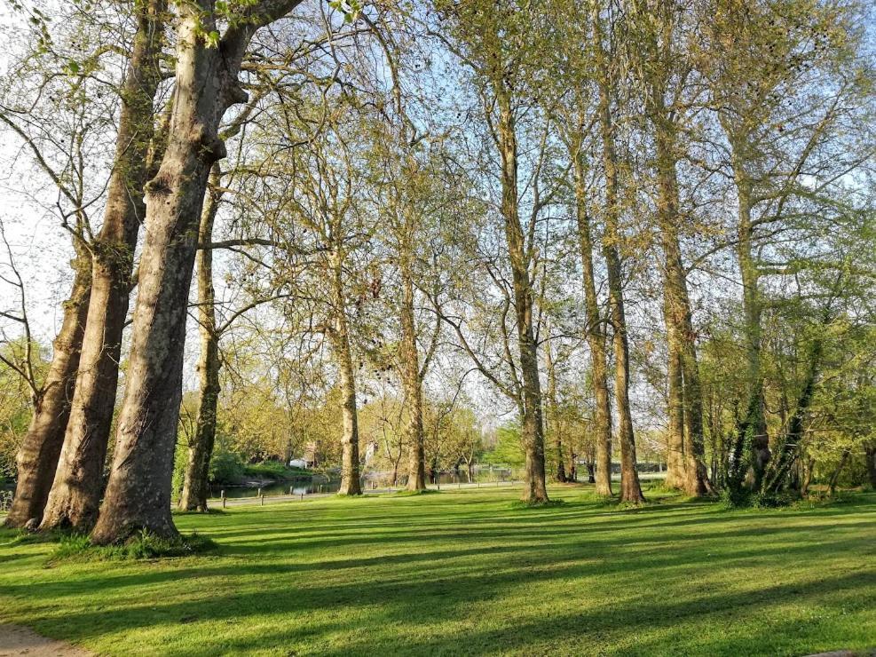 Le Domaine Des Platanes Panzió Bourg-Charente Kültér fotó