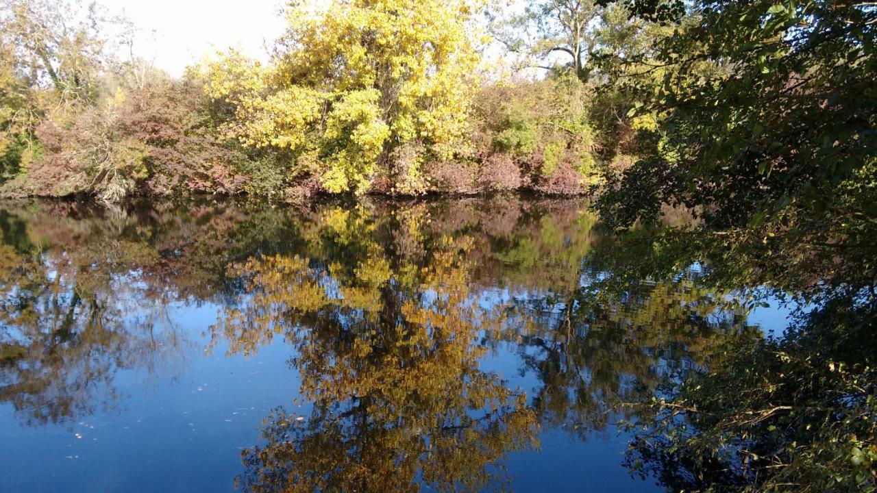 Le Domaine Des Platanes Panzió Bourg-Charente Kültér fotó